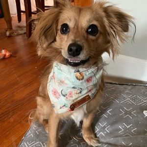 Meet your Posher, Michelle